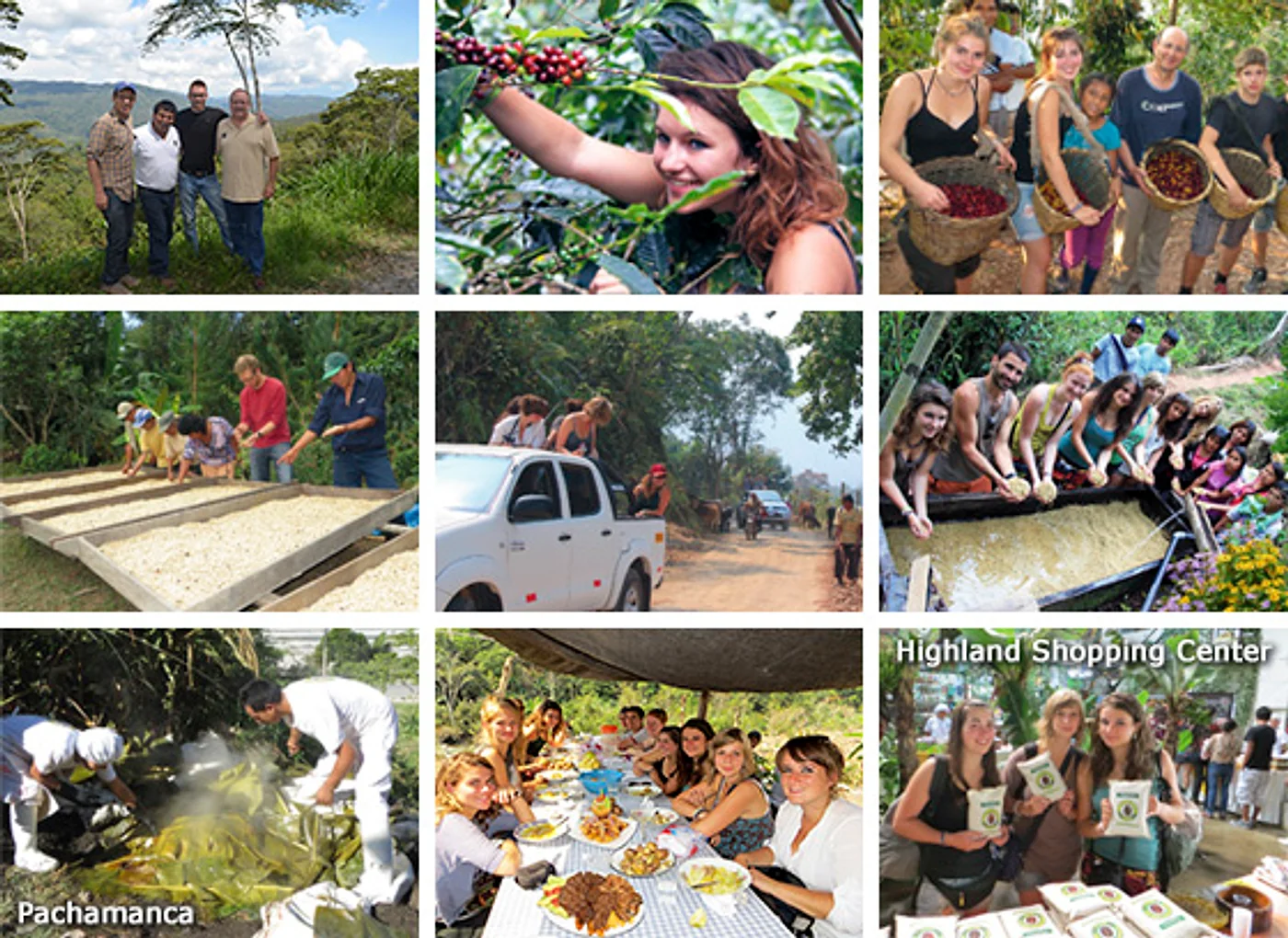 La Ruta del Café de Chanchamayo